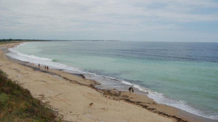 Снимка: Булфото