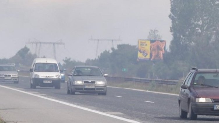 Снимка: Булфото