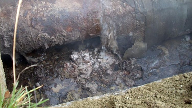 Снимка: Архив, Булфото