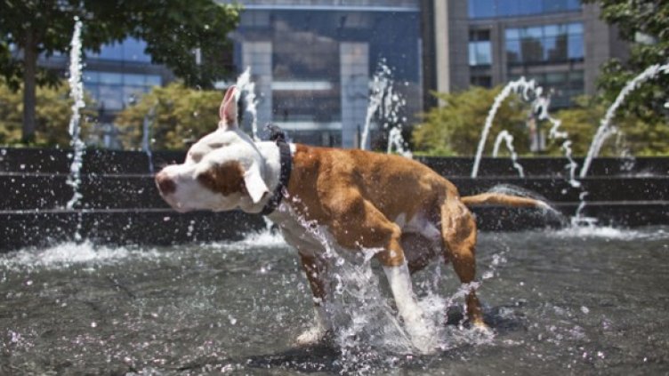 Снимка: Getty Images/Guliver Photos