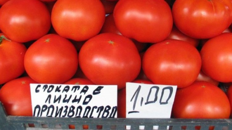 Снимка: Булфото