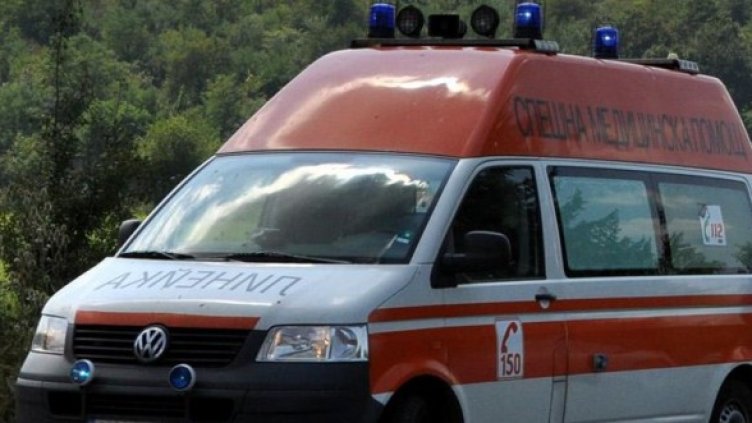 Снимка: Архив, Булфото