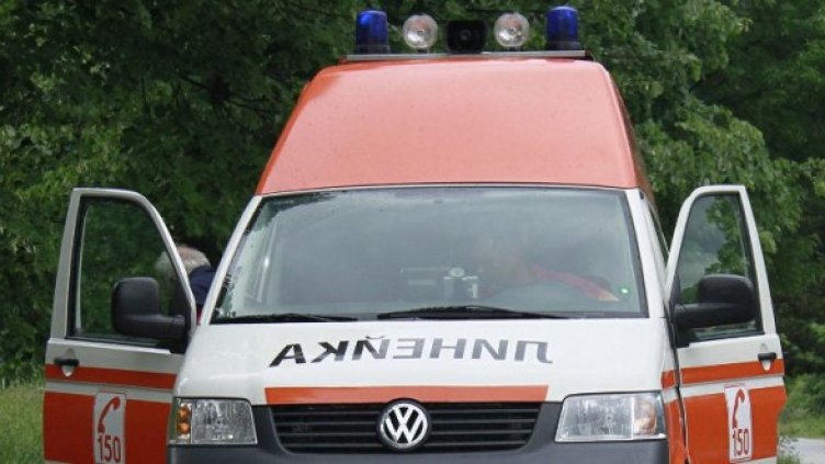 Снимка: Булфото