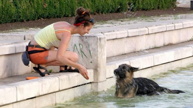 Снимка: Архив Булфото