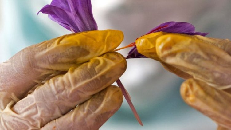 Снимка: Getty Images/Guliver Photos