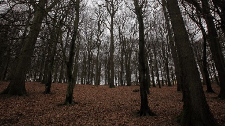 Снимка: Getty Images/Guliver Photos