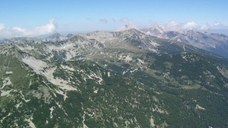 Снимка: Архив Булфото