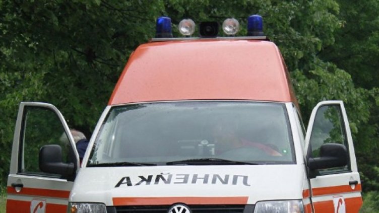 Снимка: Архив, Булфото