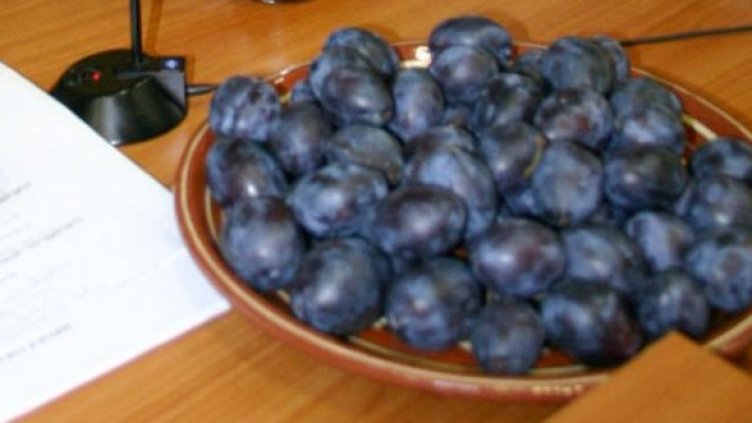 Снимка: Архив, Булфото