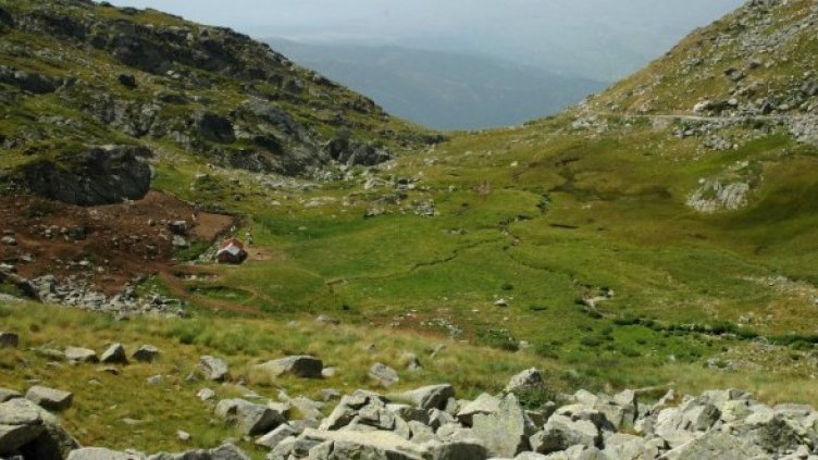 Снимка: Булфото