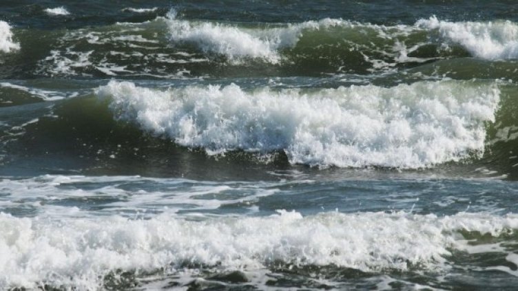 Снимка: Булфото