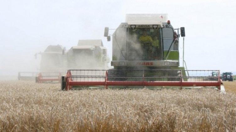 Снимка: Архив Булфото