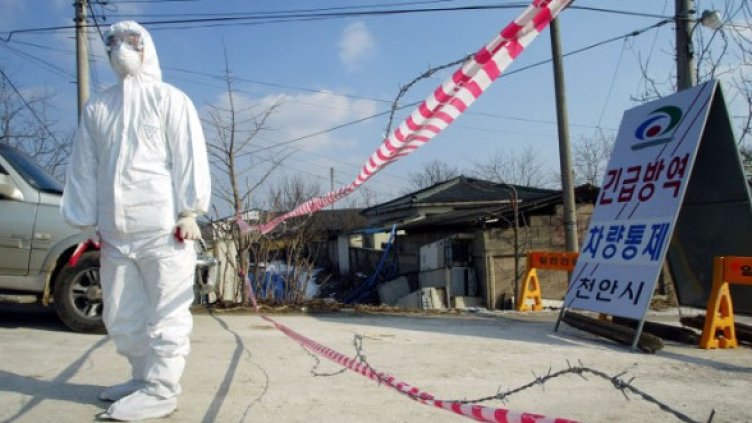 Снимка: Getty Images/Guliver Photos