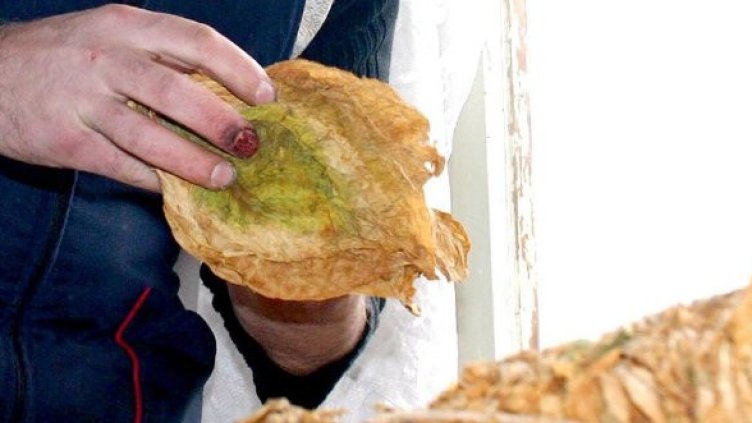 Снимка: архив Булфото