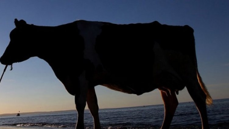 Снимка: Архив, Getty Images/Guliver Photos