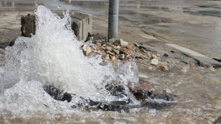 Снимка: Булфото