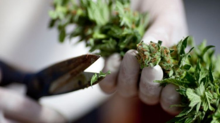 Снимка: Getty Images/Guliver Photos