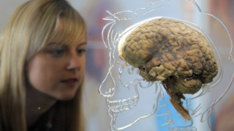 Снимка: Getty Images/Guliver Photos