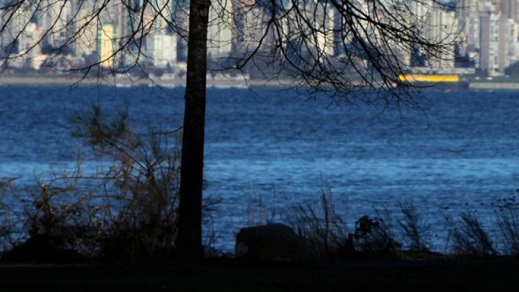 Снимка: Getty Images/Guliver Photos