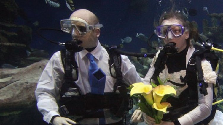 Снимка: Getty Images/Guliver Photos