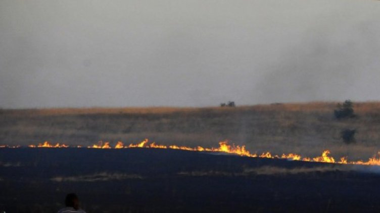 Снимка: Булфото