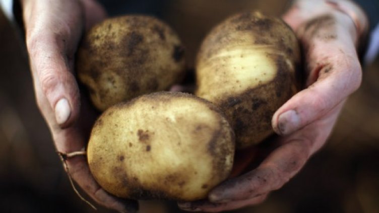 Снимка: Getty Images/Guliver Photos