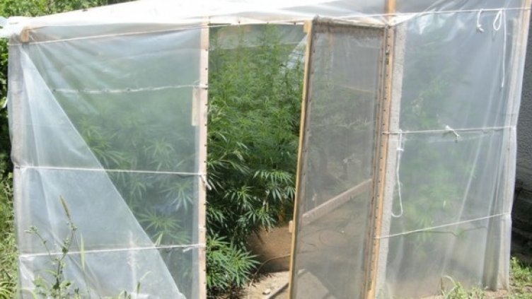 Снимка: архив МВР