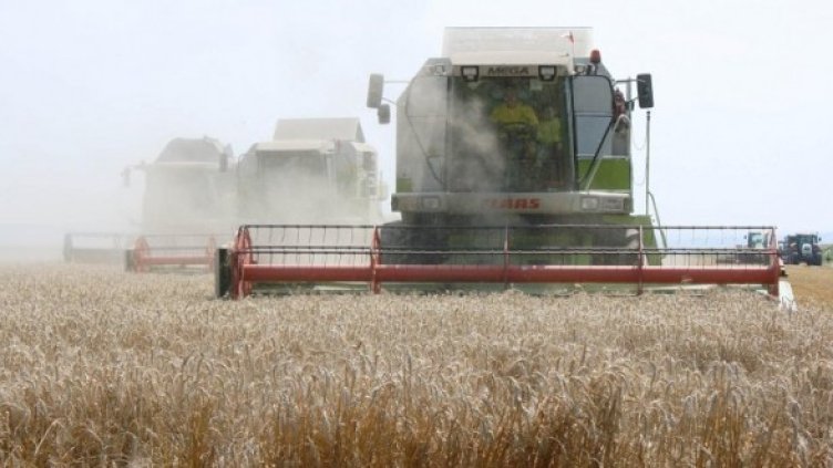 Снимка: Булфото