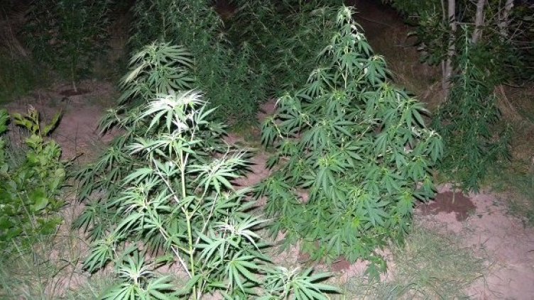 Снимка: Архив Булфото