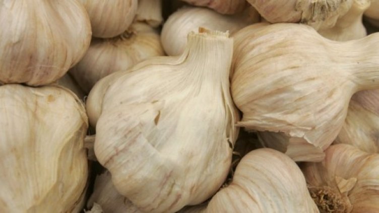 Снимка: Getty Images/Guliver Photos