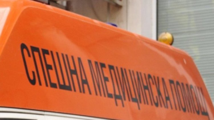 Снимка: Булфото