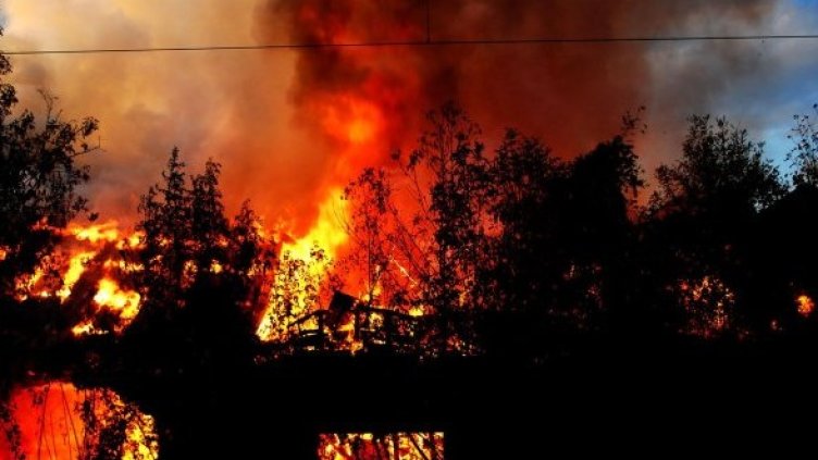 Снимка: Архив, Булфото