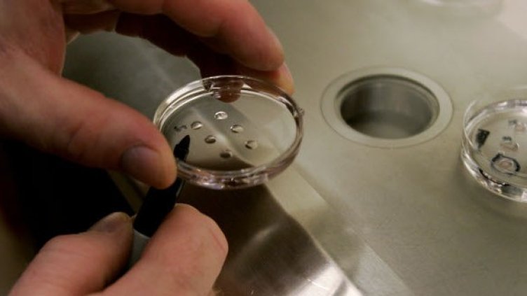 Снимка: Getty Images/Guliver Photos