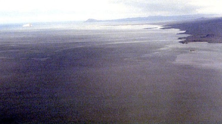 Снимка: Getty Images/Guliver Photos