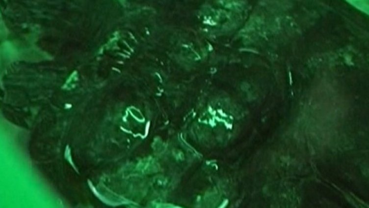 Снимка: Dnes.bg