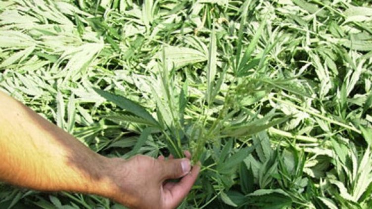 Снимка: МВР