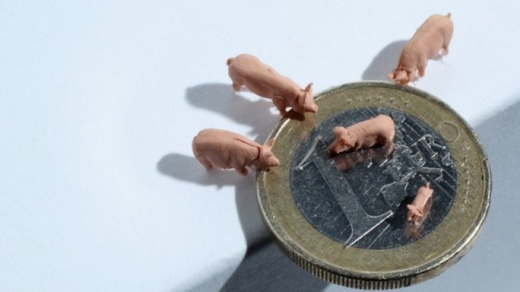 Снимка: Getty Images/Guliver Photos