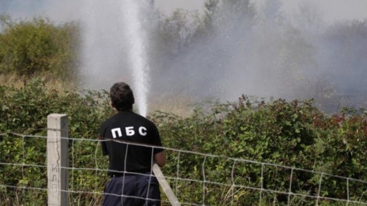 Снимка: Булфото