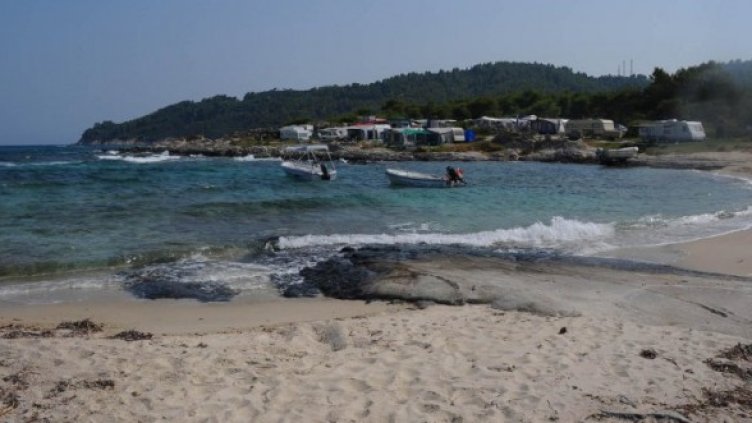 Снимка: Архив Булфото