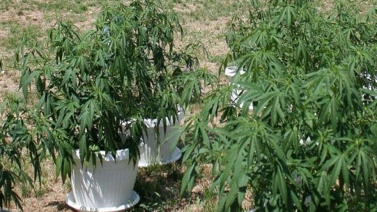 Снимка: Булфото