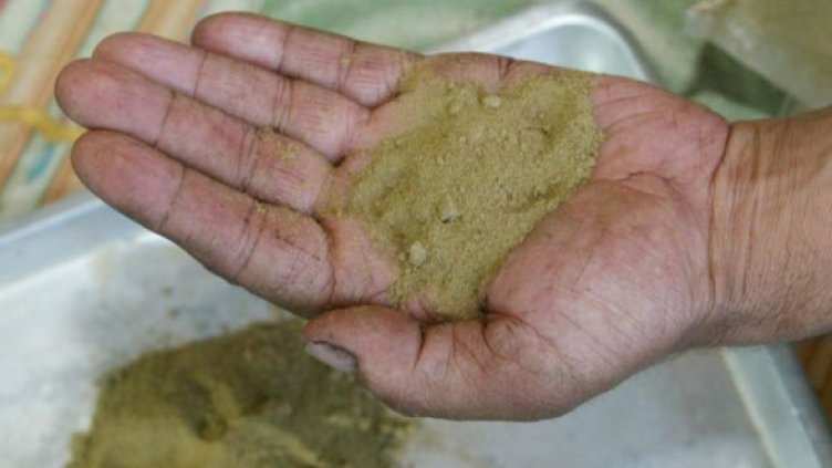 Снимка: Getty Images/Guliver Photos