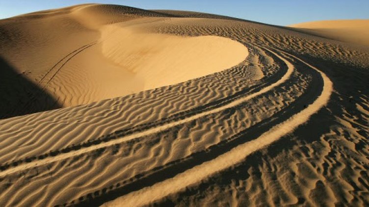 Снимка: Getty Images/Guliver Photos