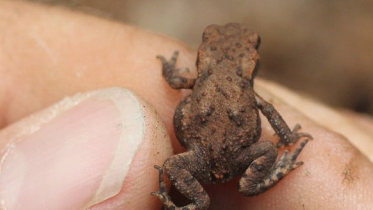 Снимка: Getty Images/Guliver Photos