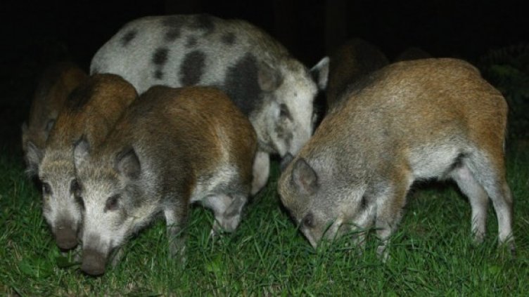 Снимка: Getty Images/Guliver Photos