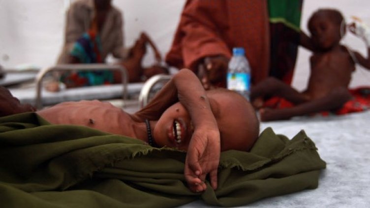 Снимка: Getty Images/Guliver Photos