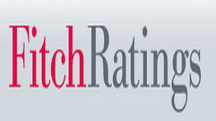 Fitch: Еврото ще преживее сътресенията