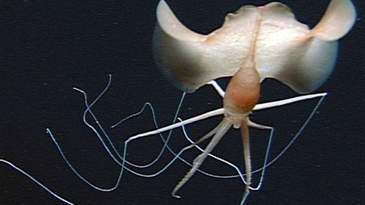 Снимка: Getty Images/Guliver Photos