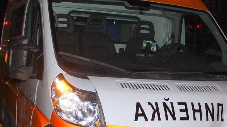 Снимка: Архив, Булфото