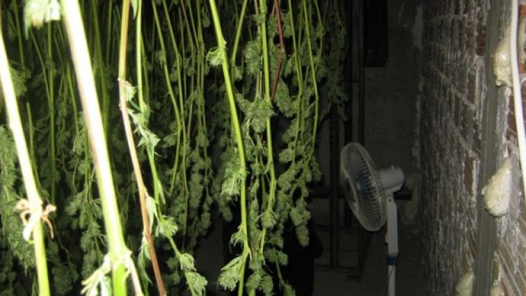 Снимка: МВР