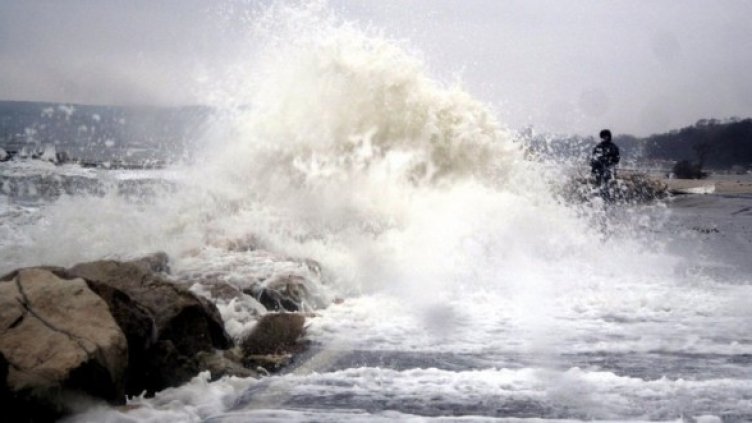 Снимка: Архив, Булфото